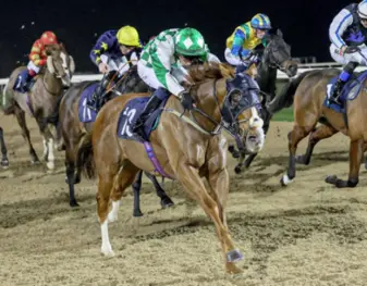 Bishop's Glory (IRE)